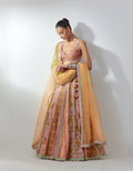 Peach Embroidered Lehenga Set