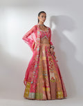Pink Embellished Lehenga Set