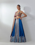 Blue Metallic Lehenga Set