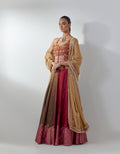 Rust Metallic Lehenga Set