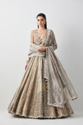 Silver Hand Embroidered Silk Brocade Lehenga Set