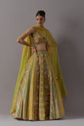 Lime green embroidered lehenga choli with dupatta