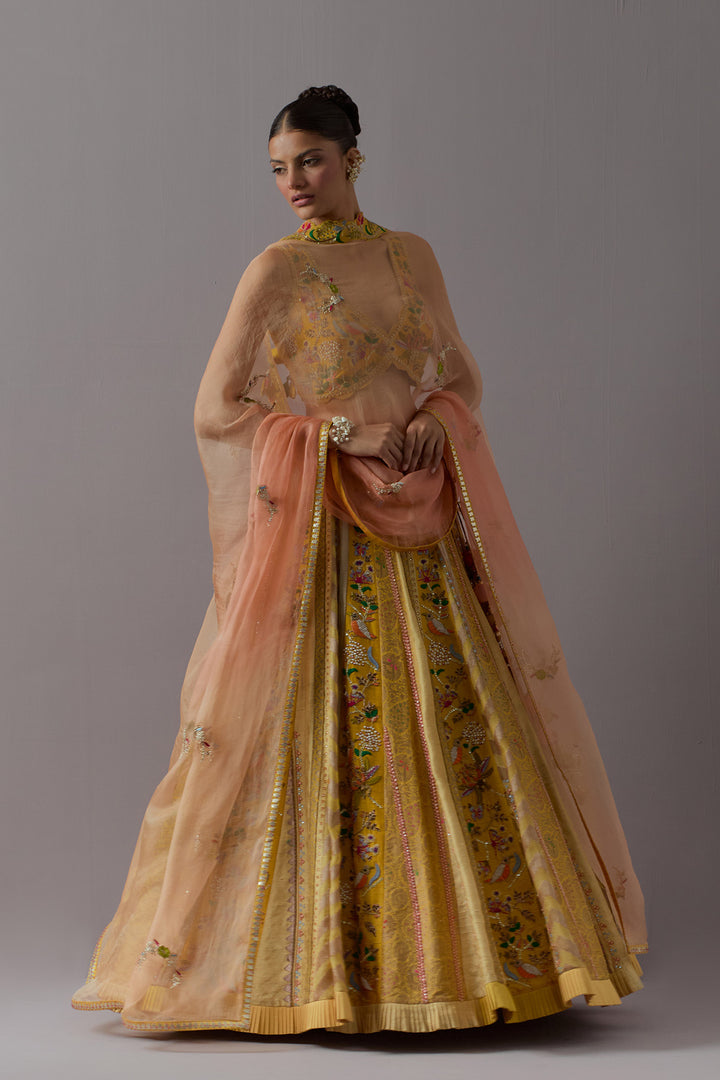 Mustard yellow embroidered lehenga choli with dupatta
