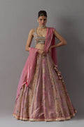 Blush pink embroidered lehenga choli with dupatta