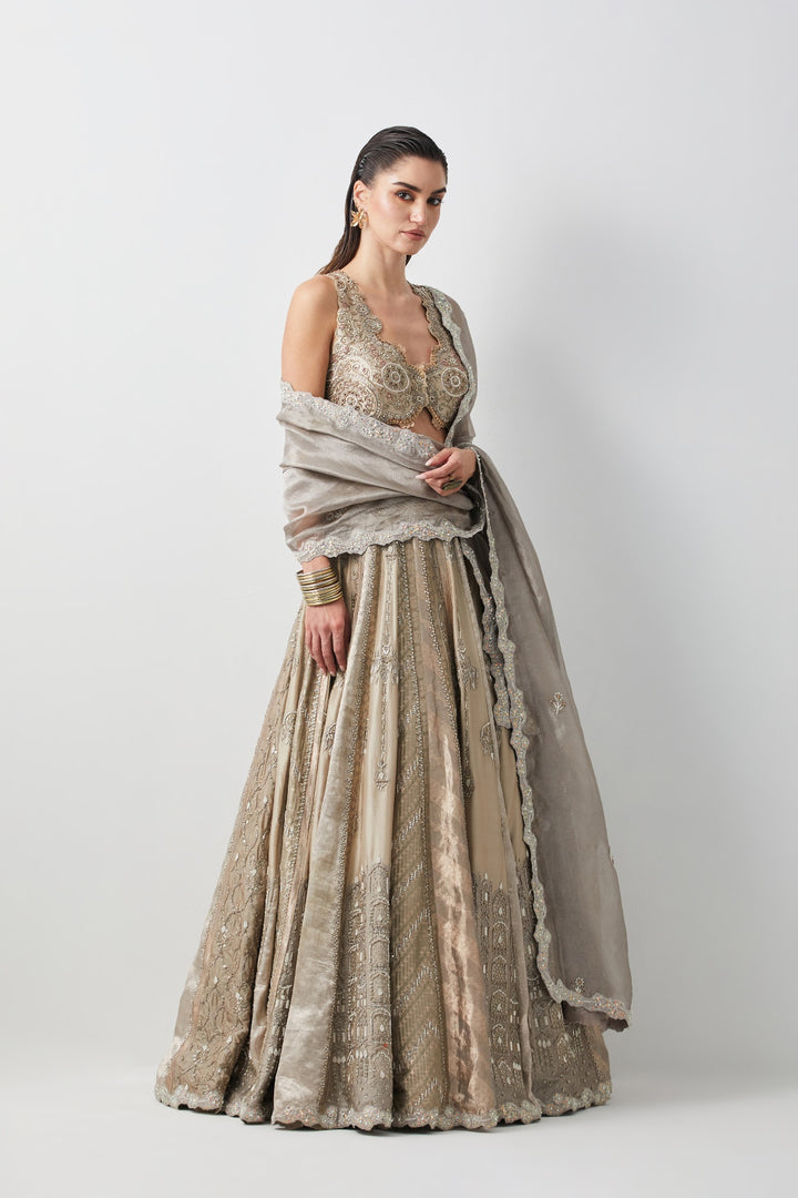 Silver Hand Embroidered Silk Brocade Lehenga Set