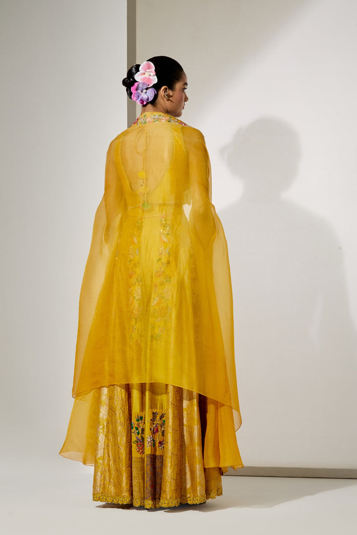 Sunlit Royale Embroidered Sharara Set