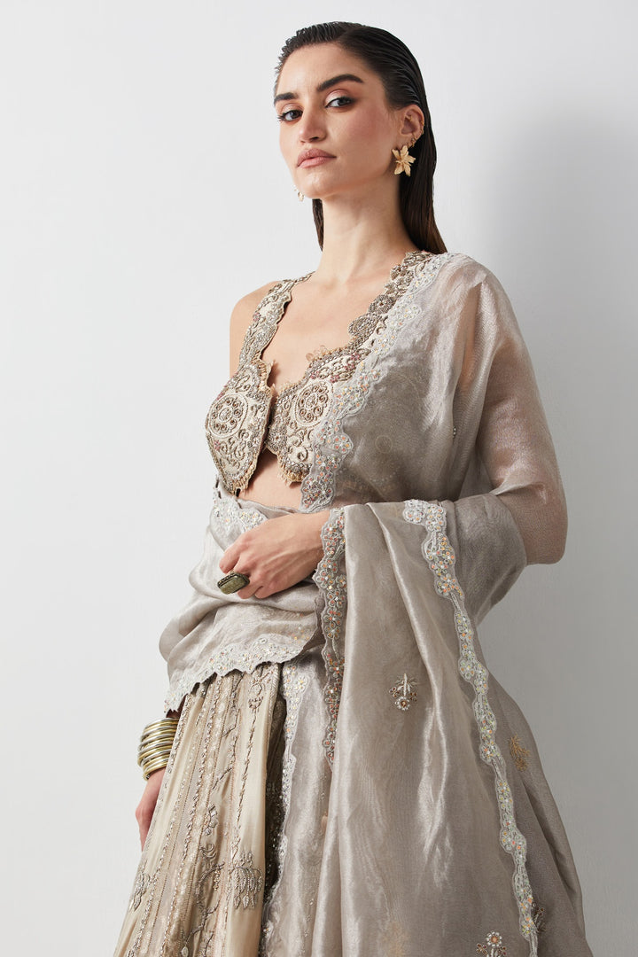 Silver Hand Embroidered Silk Brocade Lehenga Set