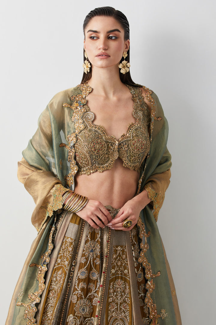 Olive Green Hand Embroidered Silk Brocade Lehenga Set