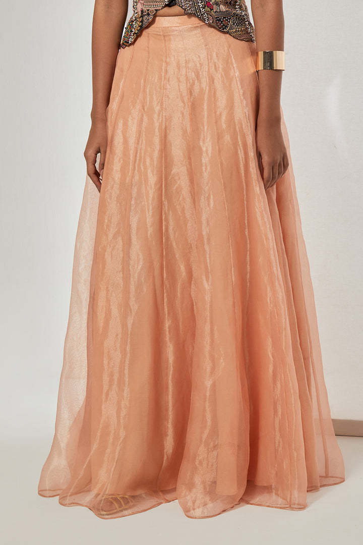 Noor Hand-Embroidered Silk Corset &amp; Organza Skirt Set