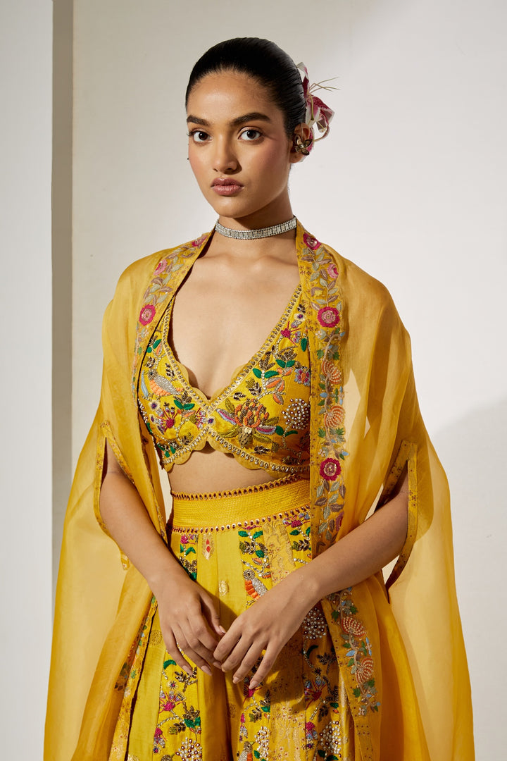Sunlit Royale Embroidered Sharara Set
