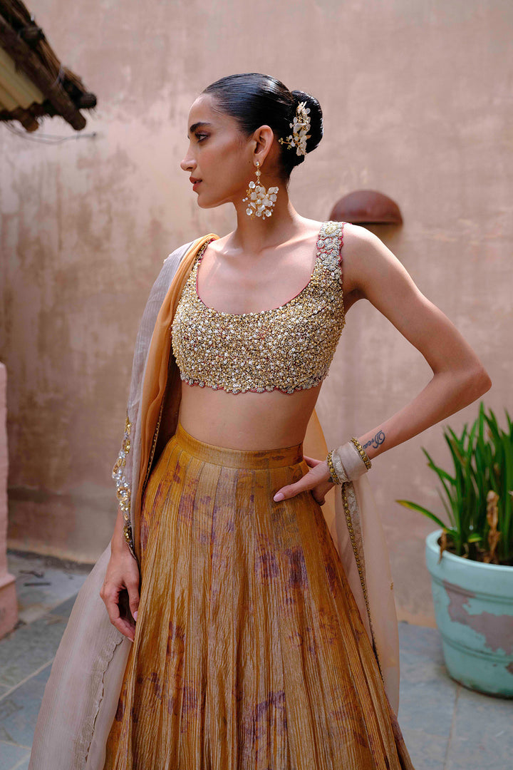 Antique Gold Tissue Lehenga with Embroidered Silk Blouse
